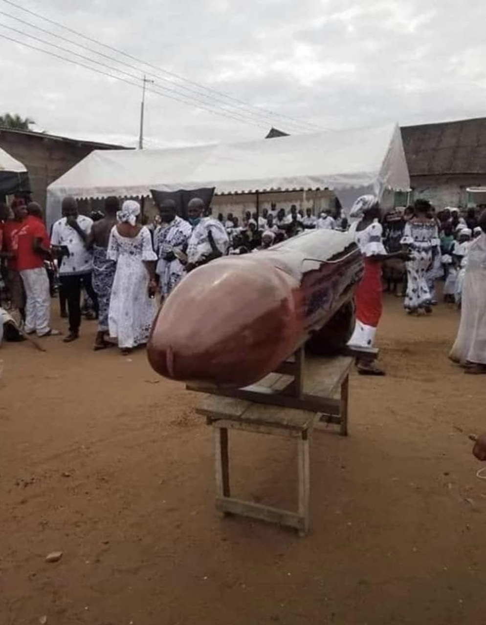 penis shaped coffin